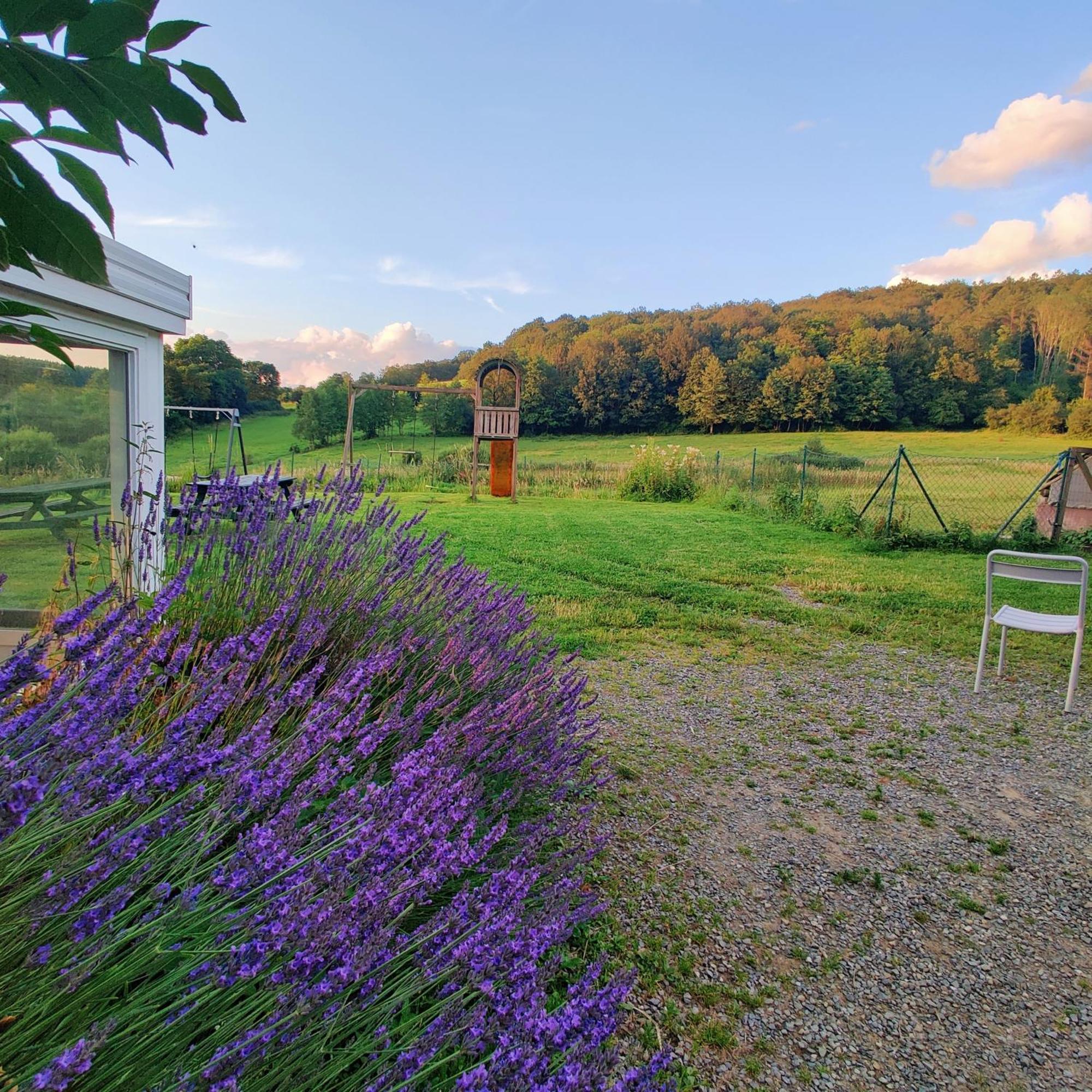 La Ferme De Werpin Βίλα Hotton Εξωτερικό φωτογραφία